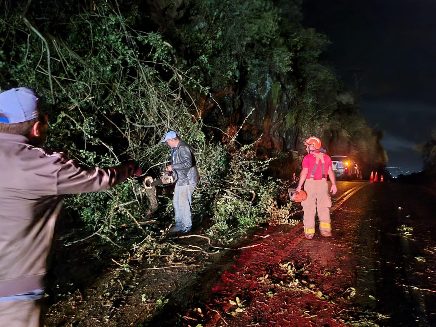 DER alerta motoristas sobre deslizamentos e queda de árvores em rodovias nos dias de chuva